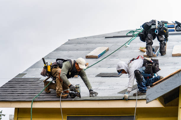 Professional Roofing technician working in Rochester, WA